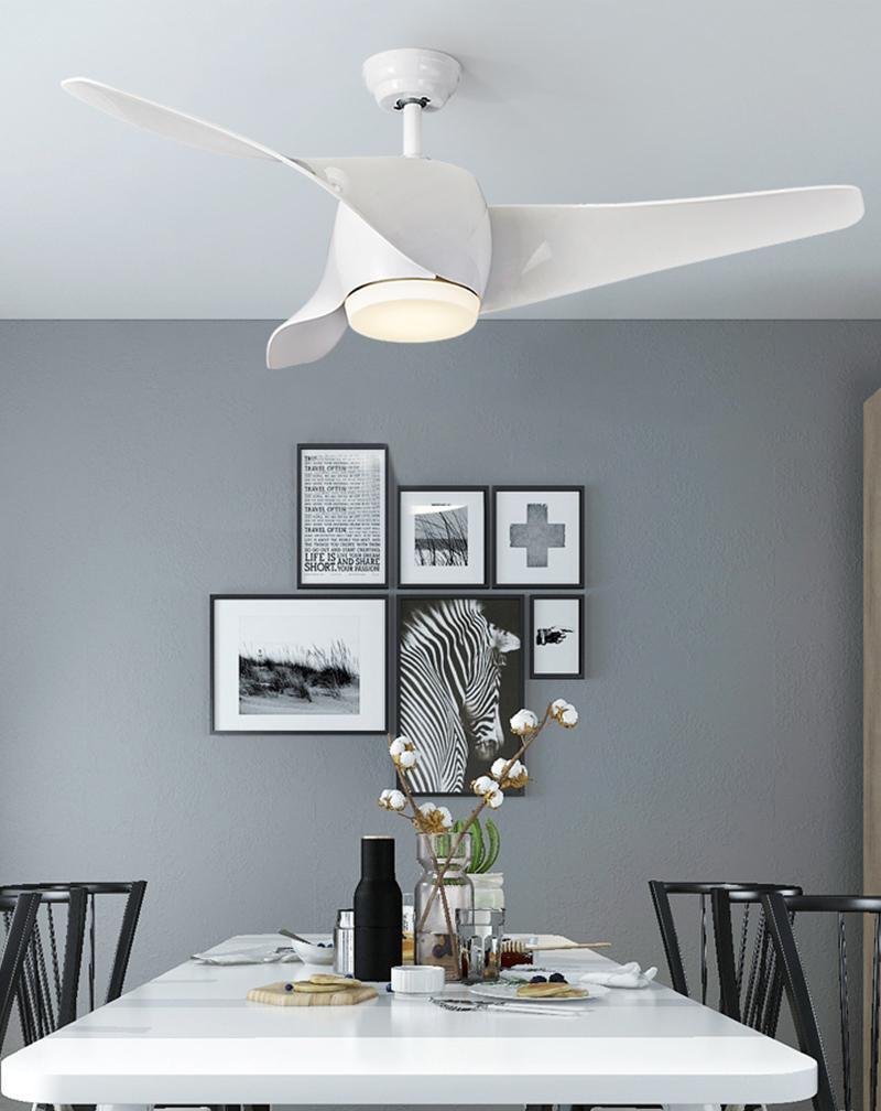 52 Downrod Ceiling Fans with Remote Control and LED Lights