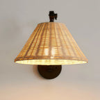 Black Swing Arm Wall Sconce Vintage Wabi-Sabi Wall Light