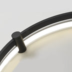 Round Creative LED Stepless Dimming with Remote Modern Ceiling Lights