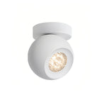 Minimalist Globe Design LED Modern Spotlight Ceiling Lights Flush Mount Lighting