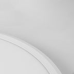 Minimalist Black Circle Industrial Flush Mount Ceiling Lights