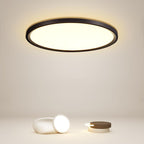 Minimalist Black Circle Industrial Flush Mount Ceiling Lights