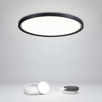 Minimalist Black Circle Industrial Flush Mount Ceiling Lights