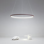 Circle Linear Modern Chandelier Ceiling Lights