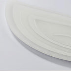 Leaf Shaped Modern Flush Mount Light with Remote Control