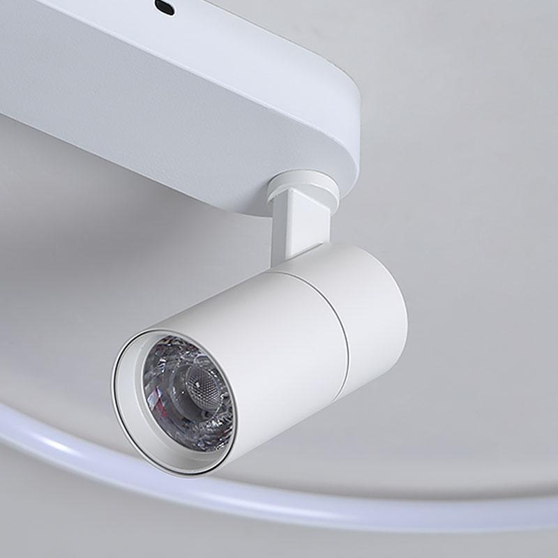 16'' Round Dimmable Adjustable Flush Mount Light with Spotlights Track Lights