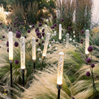 Acrylic Bubble Landscape Light Waterproof Bubble Reed LED Light