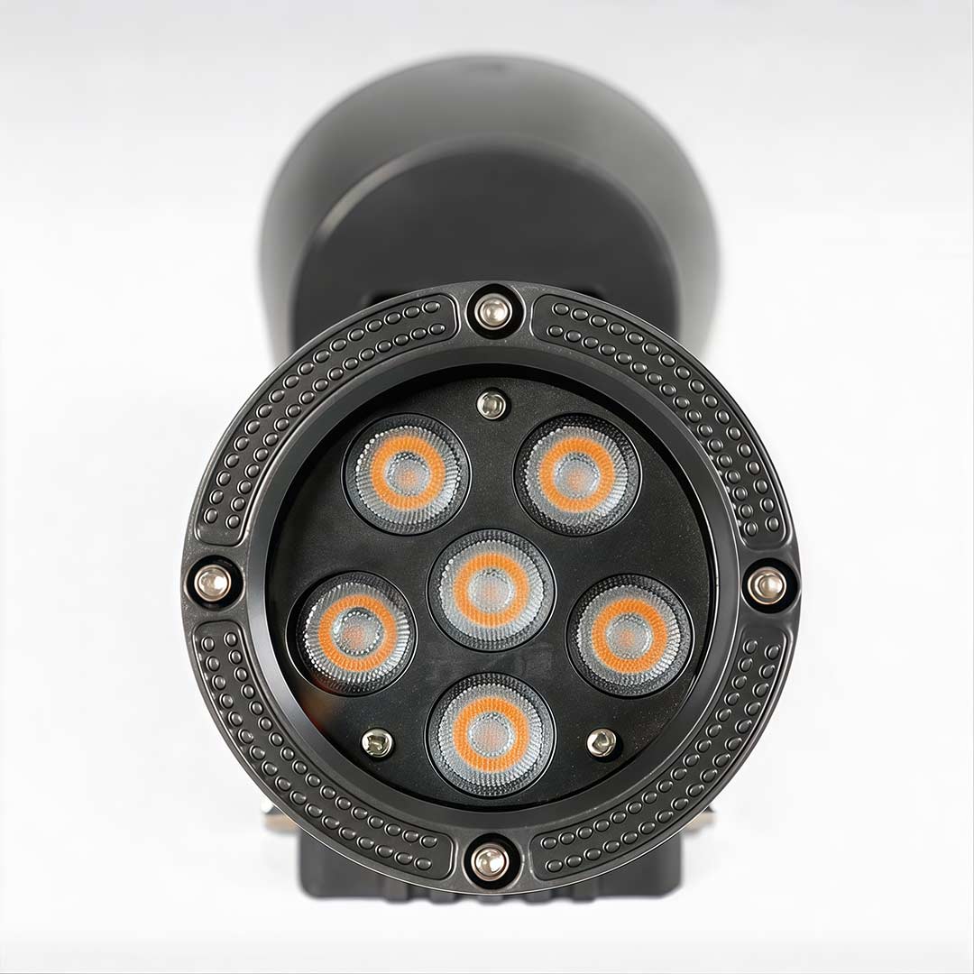 Adjustable Outdoor Wall Light 2-Light LED up and down Light