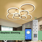 Circles Aluminum Acrylic Flush Mount Lighting LED Ceiling Lights