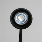 Bellflower Lights Classic Industrial Multi-head LED Floor Lamp