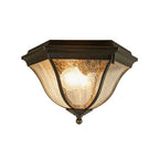 Black Flush Mount Light Fixture European Waterproof Ceiling Light
