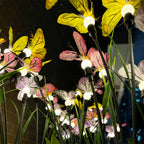 6 PCS Butterfly Solar Garden Lights Six-Head Lawn Stake Light