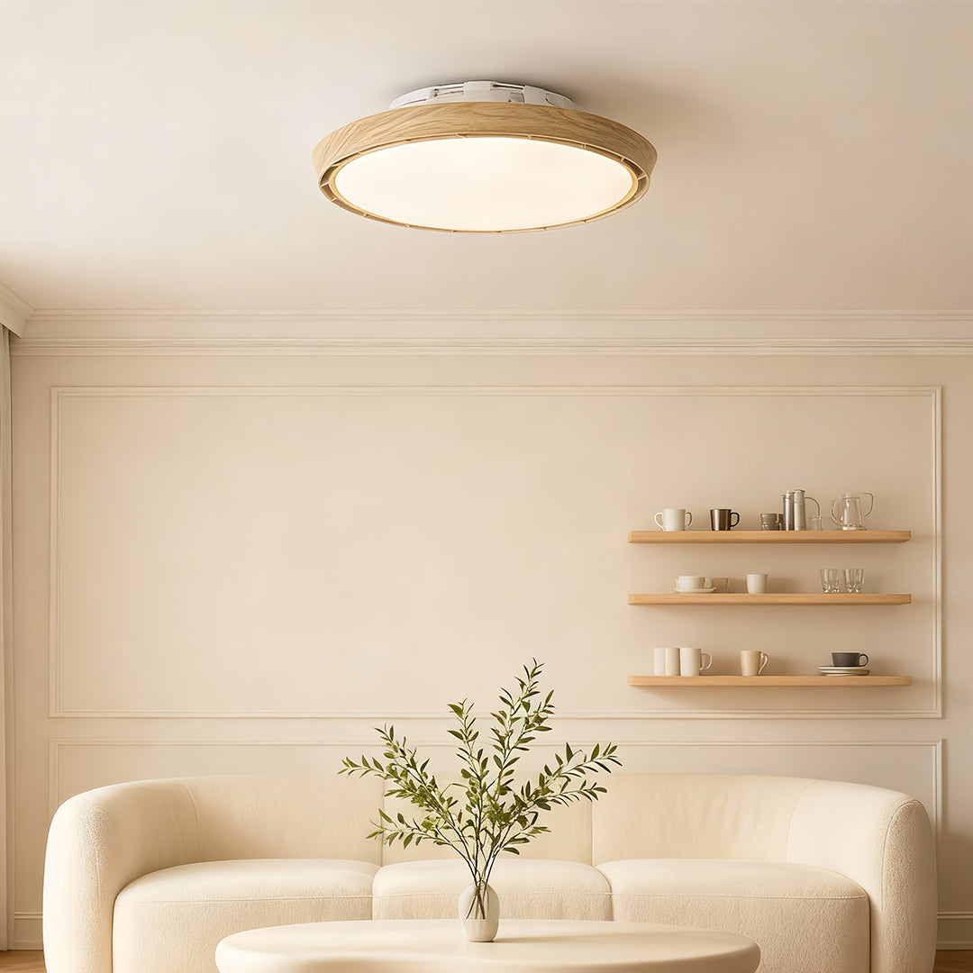 Ceiling Fan Modern with Light LED Simple Round Leafless Dimmable Lamp