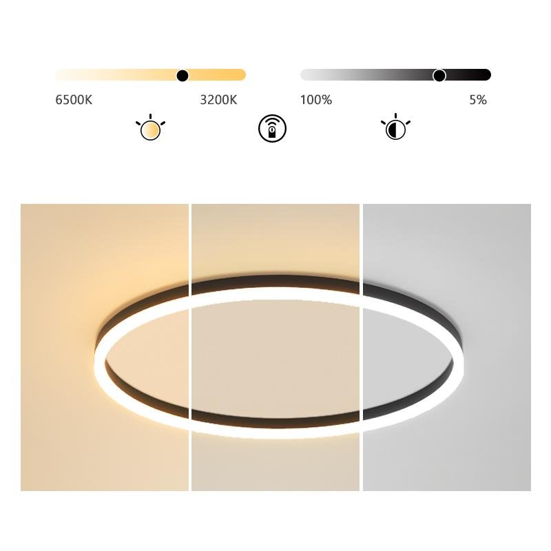 Flush Mount Ring Light Modern Black Aluminum Ceiling Light