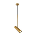 Spot Light Pendant Light Fixtures Nordic Metal LED Ceiling Light