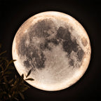 Full Moon Lamp Wall Modern Round LED Artistic Lamp