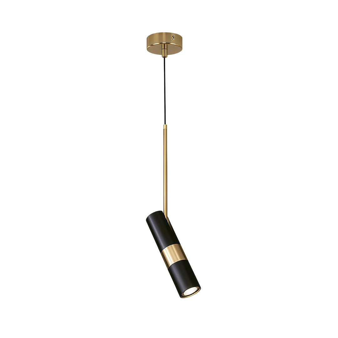 Spot Light Pendant Light Fixtures Nordic Metal LED Ceiling Light