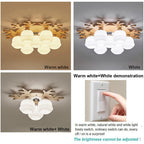 Globe Ceiling Lamp Nordic Style Wooden Glass LED Light