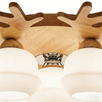 Globe Ceiling Lamp Nordic Style Wooden Glass LED Light