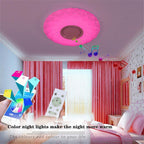 Metal Acrylic Flush Mount Ceiling Light Dimmable Unique LED Light