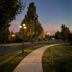 Landscape Light Post Modern Multi-head Outdoor Garden Lamp Post