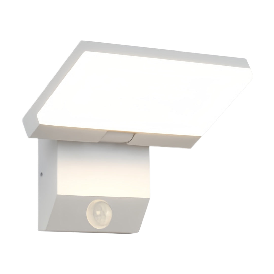Industrial Wall Light Outdoor Adjustable Waterproof Aluminum Lamp