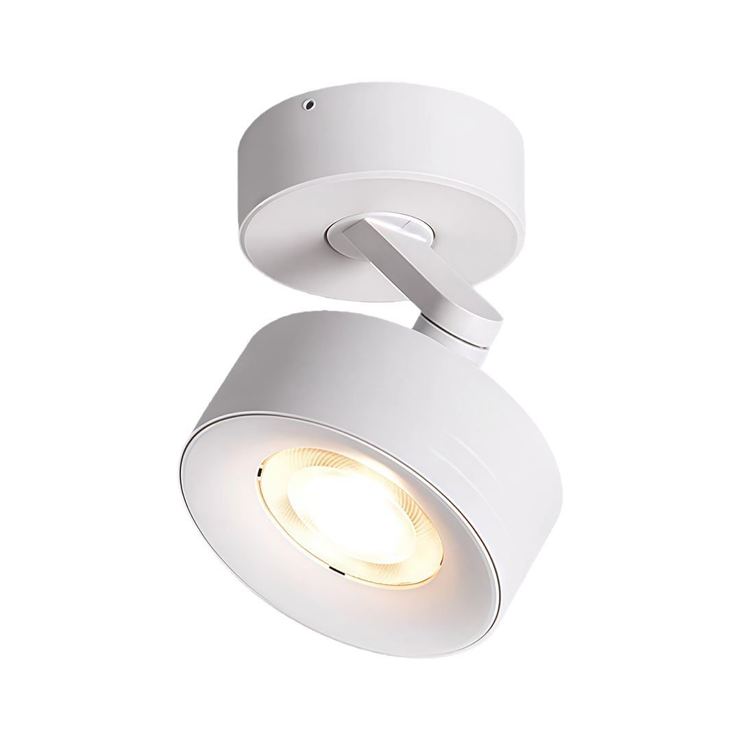2 PCS Adjustable LED Ceiling Spotlights Directional Light