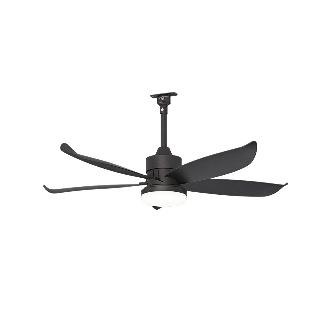 Modern Ceiling Fans with Lighting Outdoor Rainproof LED Light