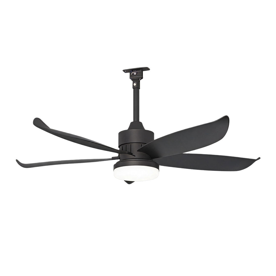 Modern Ceiling Fans with Lighting Outdoor Rainproof LED Light
