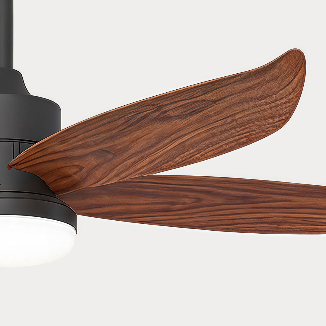 Modern Ceiling Fans with Lighting Outdoor Rainproof LED Light
