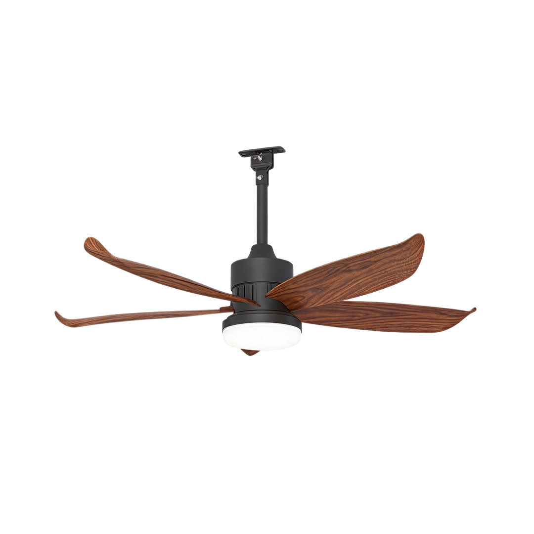 Modern Ceiling Fans with Lighting Outdoor Rainproof LED Light