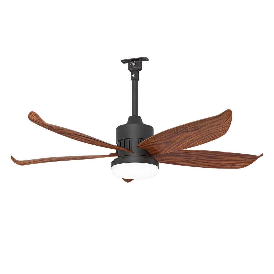 Modern Ceiling Fans with Lighting Outdoor Rainproof LED Light