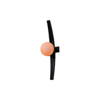 Modern Globe Wall Sconce Curved Wood and Glass Light