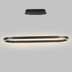 Oval LED Pendant Light Modern Aluminum Ceiling Light