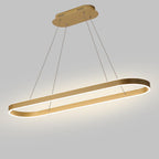 Oval LED Pendant Light Modern Aluminum Ceiling Light