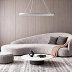 Oval LED Pendant Light Modern Aluminum Ceiling Light