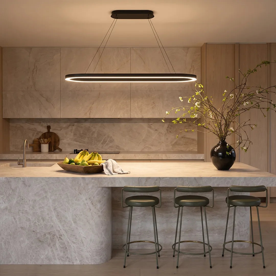 LED Oval Modern Black Pendant Light with Remote Control Artistic Pendant Light