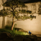 12 Volt Garden Spike Lights Modern Minimalist Outdoor Spotlight