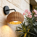 Rattan Outdoor Pendant Light Modern Waterproof Lights