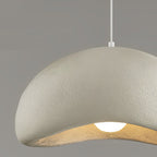 Resin Pandant Light Modern LED Unique Ceiling Light