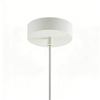 Resin Pandant Light Modern LED Unique Ceiling Light