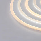 Round Flush Mount Ceiling Light Modern LED Ceiling Lamp
