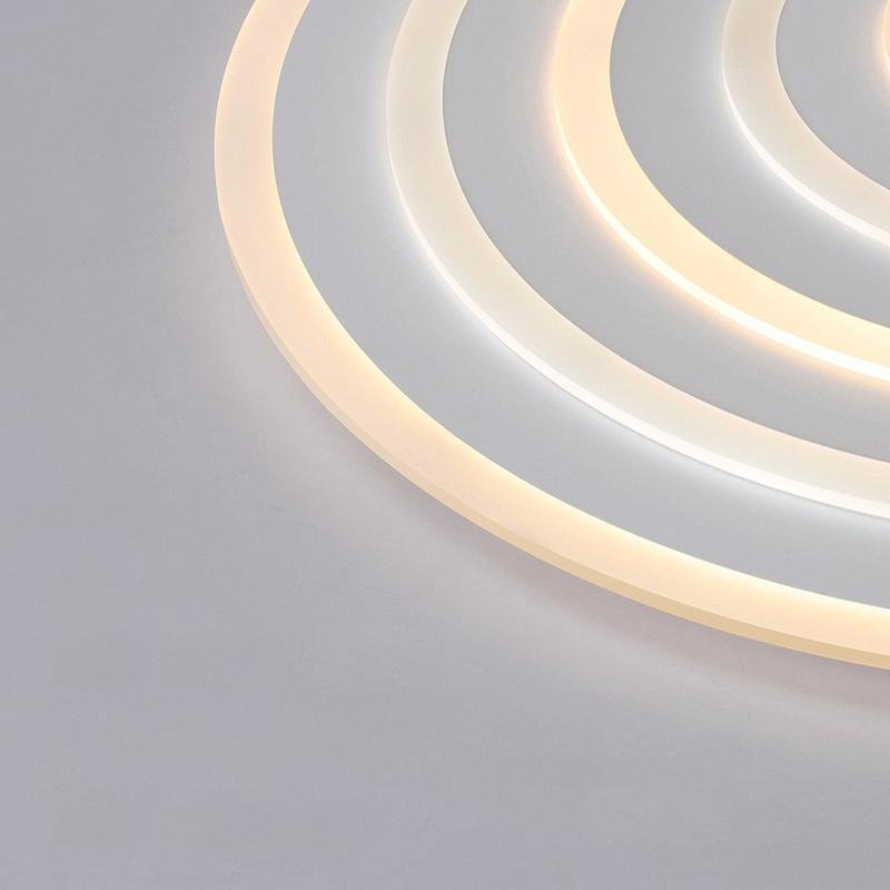 Round Flush Mount Ceiling Light Modern LED Ceiling Lamp
