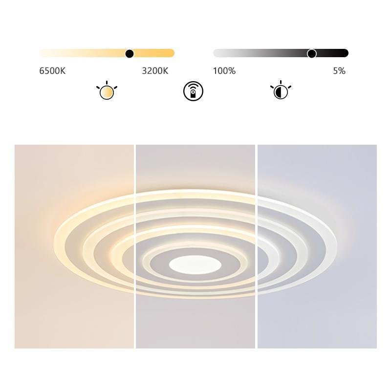 Round Flush Mount Ceiling Light Modern LED Ceiling Lamp