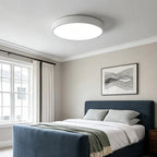 Sizable Flush Mount Ceiling Light Black with Light Source and Surface Color Customization