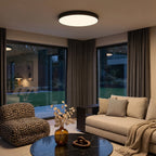 Sizable Flush Mount Ceiling Light Black with Light Source and Surface Color Customization