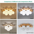 Globe Ceiling Lamp Nordic Style Wooden Glass LED Light