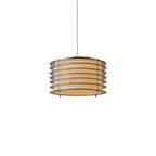 Stainless Steel Pendant Light Fixtures Modern Pendant Ceiling Light