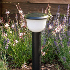 LED Landscape Path Light Modern Bowl-Shade Outdoor Lawn Light