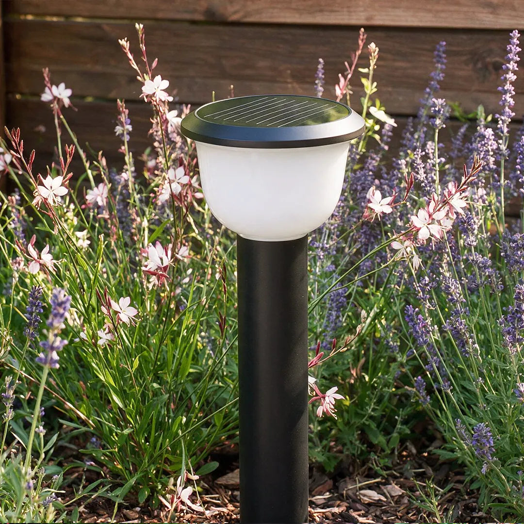 LED Landscape Path Light Modern Bowl-Shade Outdoor Lawn Light